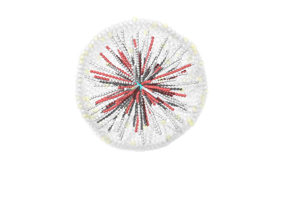Microtubule organizing center example Microtubule organizing center example