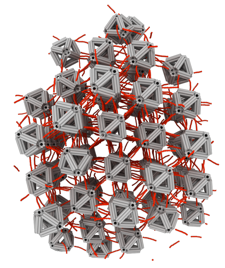 Assembly of DNA origami octahedra with DNA linkers Assembly of DNA origami octahedra with DNA linkers