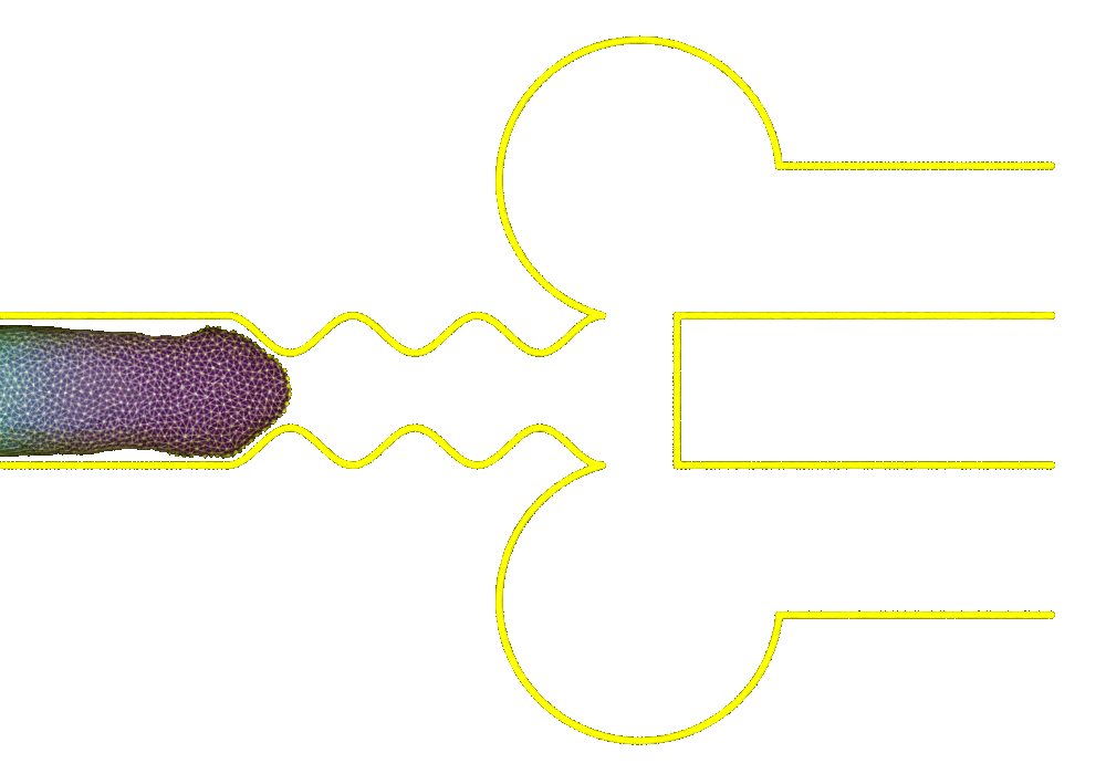 Cell navigating confinement Cell navigating confinement