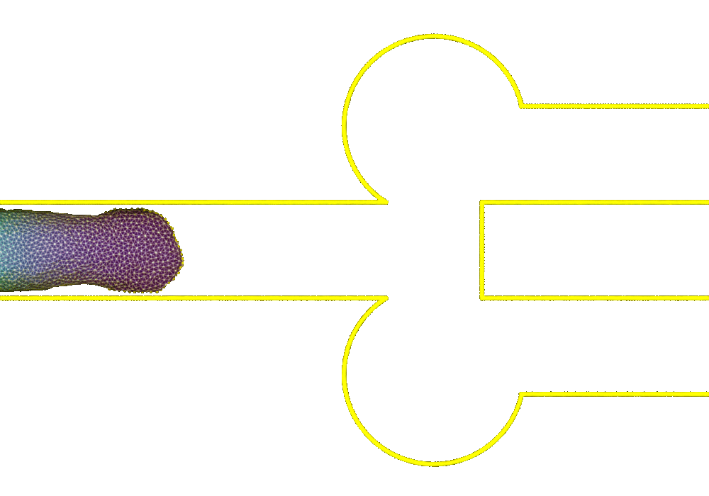Cell navigating an unconfined channel Cell navigating an unconfined channel